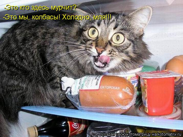 -Это кто здесь мурчит? -Это мы, колбасы! Холодно, мля!!!... Котоматрица: -Это кто здесь мурчит? -Это мы, колбасы! Холодно, мля!!!