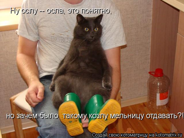Ну ослу -- осла, это понятно, но зачем было такому козлу мельницу отдавать?!... Котоматрица: Ну ослу -- осла, это понятно, но зачем было такому козлу мельницу отдавать?!