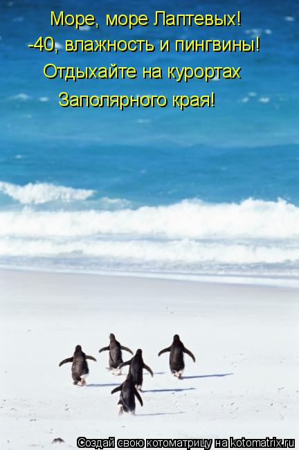 Море, море Лаптевых! -40, влажность и пингвины! Отдыхайте на курортах Заполярного края!... Котоматрица: Море, море Лаптевых! -40, влажность и пингвины! Отдыхайте на курортах Заполярного края!