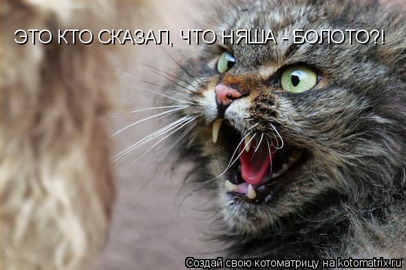ЭТО КТО СКАЗАЛ, ЧТО НЯША - БОЛОТО?!... Котоматрица: ЭТО КТО СКАЗАЛ, ЧТО НЯША - БОЛОТО?!
