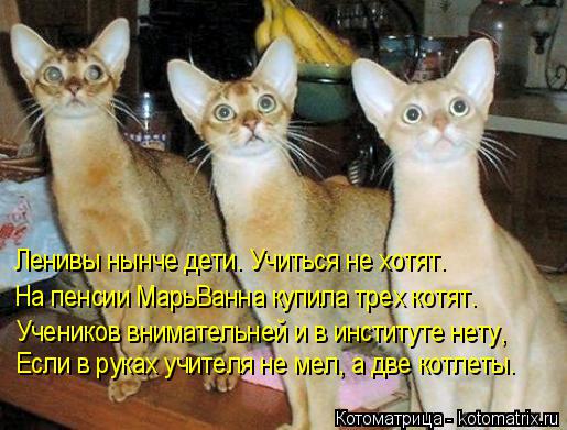 Ленивы нынче дети. Учиться не хотят. На пенсии МарьВанна купила трех котят. Учеников внимательней и в... Котоматрица: Ленивы нынче дети. Учиться не хотят. На пенсии МарьВанна купила трех котят. Учеников внимательней и в институте нету, Если в руках учителя н