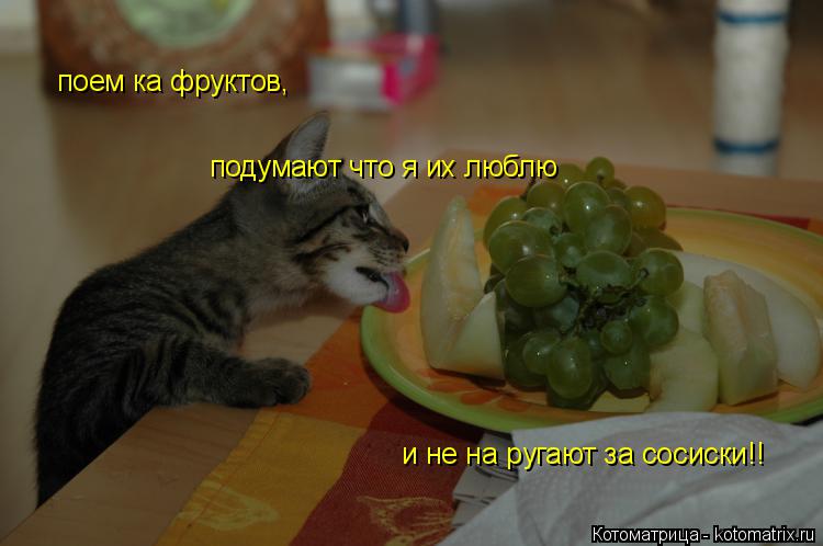 поем ка фруктов, подумают что я их люблю и не на ругают за сосиски!!... Котоматрица: поем ка фруктов, подумают что я их люблю и не на ругают за сосиски!!