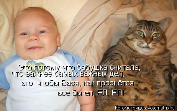 Это потому, что бабушка считала, что важнее самых важных дел, это, чтобы Вася, как проснётся всё бы ... Котоматрица: Это потому, что бабушка считала, что важнее самых важных дел, это, чтобы Вася, как проснётся всё бы ел, ЕЛ, ЕЛ!