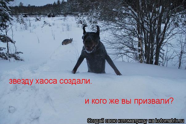 звезду хаоса создали. и кого же вы призвали?... Котоматрица: звезду хаоса создали. и кого же вы призвали?