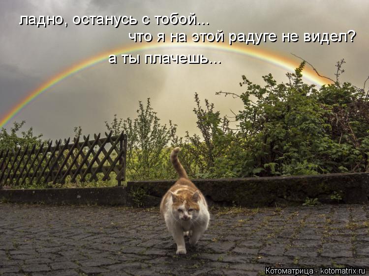Котоматрица: ладно, останусь с тобой... что я на этой радуге не видел? а ты плачешь...