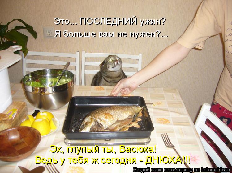Это... ПОСЛЕДНИЙ ужин? Я больше вам не нужен?... Эх, глупый ты, Васюха! Ведь у тебя ж сегодня - ДНЮХА... Котоматрица: Это... ПОСЛЕДНИЙ ужин? Я больше вам не нужен?... Эх, глупый ты, Васюха! Ведь у тебя ж сегодня - ДНЮХА!!!
