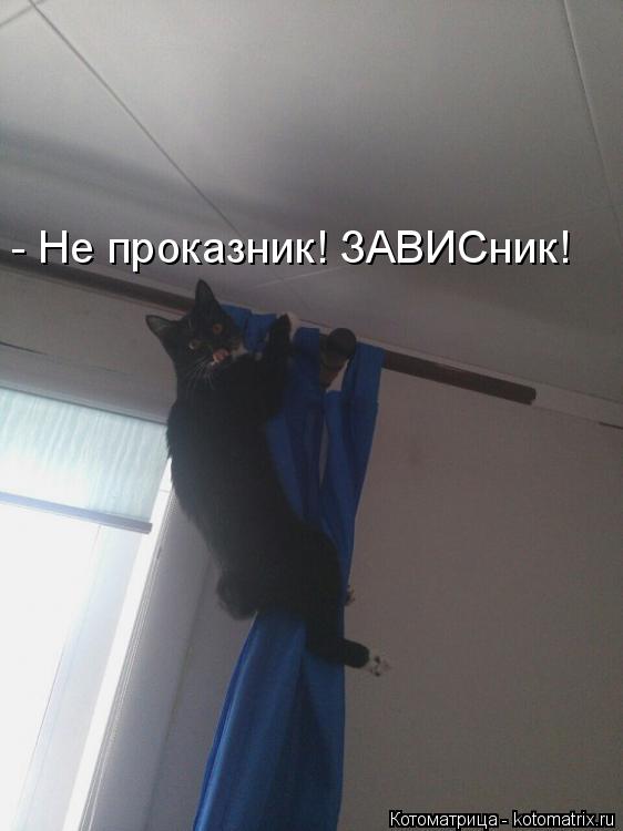 - Не проказник! ЗАВИСник!... Котоматрица: - Не проказник! ЗАВИСник!