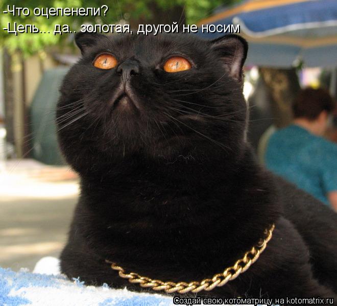 -Что оцепенели? -Цепь... да.. золотая, другой не носим... Котоматрица: -Что оцепенели? -Цепь... да.. золотая, другой не носим