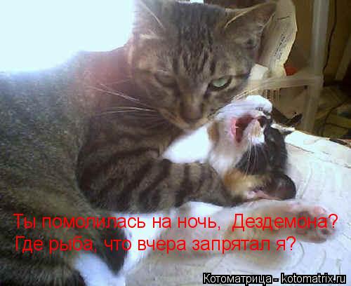 Ты помолилась на ночь, Дездемона? Где рыба, что вчера запрятал я?... Котоматрица: Ты помолилась на ночь, Дездемона? Где рыба, что вчера запрятал я?