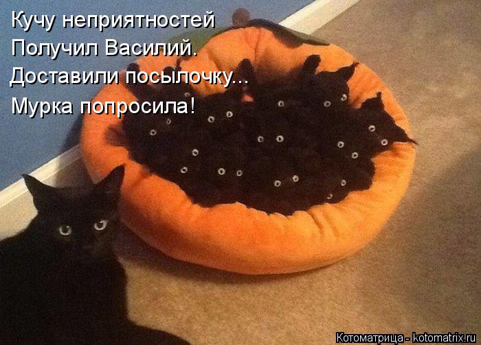 Кучу неприятностей Получил Василий. Доставили посылочку... Мурка попросила!... Котоматрица: Кучу неприятностей Получил Василий. Доставили посылочку... Мурка попросила!
