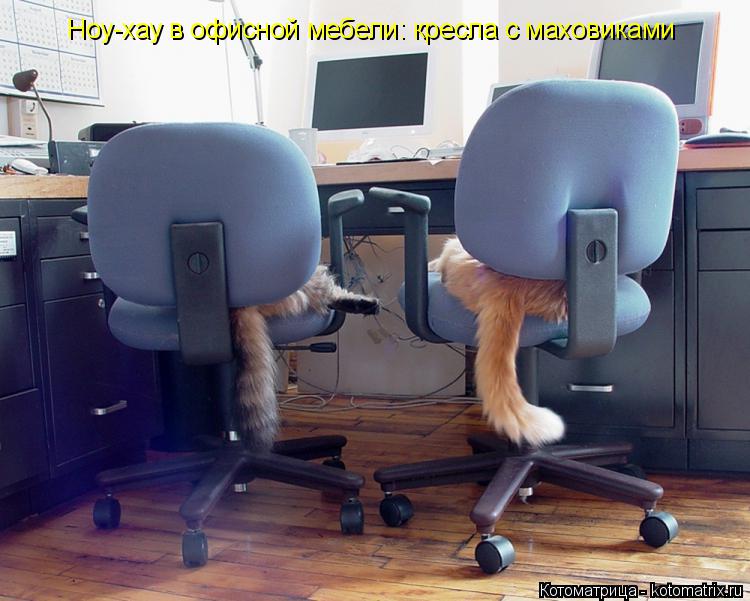 Ноу-хау в офисной мебели: кресла с маховиками... Котоматрица: Ноу-хау в офисной мебели: кресла с маховиками