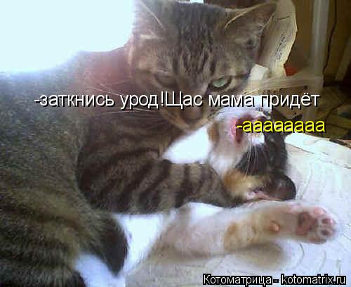 -аааааааа -заткнись урод!Щас мама придёт... Котоматрица: -аааааааа -заткнись урод!Щас мама придёт