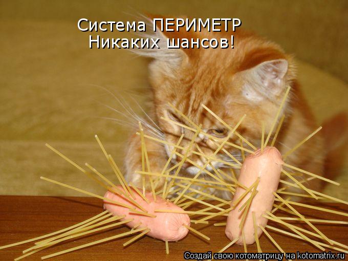 Система ПЕРИМЕТР Никаких шансов!... Котоматрица: Система ПЕРИМЕТР Никаких шансов!