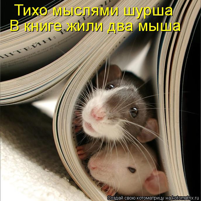 Котоматрица: Тихо мыслями шурша В книге жили два мыша