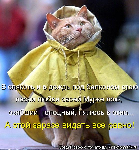 В слякоть и в дождь под балконом стою, песни любви своей Мурке пою, озябший, голодный, пялюсь в окно.... Котоматрица: В слякоть и в дождь под балконом стою, песни любви своей Мурке пою, озябший, голодный, пялюсь в окно... А этой заразе видать все равно!