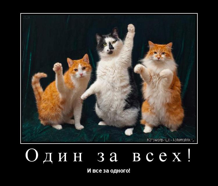 Котоматрица: Один за всех! И все за одного!