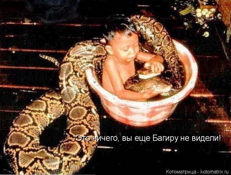 Это ничего, вы еще Багиру не видели!... Котоматрица: Это ничего, вы еще Багиру не видели!