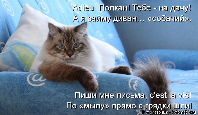Adieu, Полкан! Тебе - на дачу! А я займу диван… «собачий». По «мылу» прямо с грядки шли! Пиши мне пи... Котоматрица: Adieu, Полкан! Тебе - на дачу! А я займу диван… «собачий». По «мылу» прямо с грядки шли! Пиши мне письма, c'est la vie!