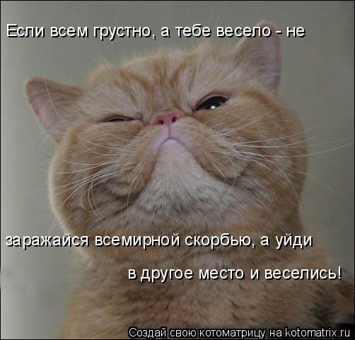 Котоматрица: Если всем грустно, а тебе весело - не  заражайся всемирной скорбью, а уйди  в другое место и веселись!
