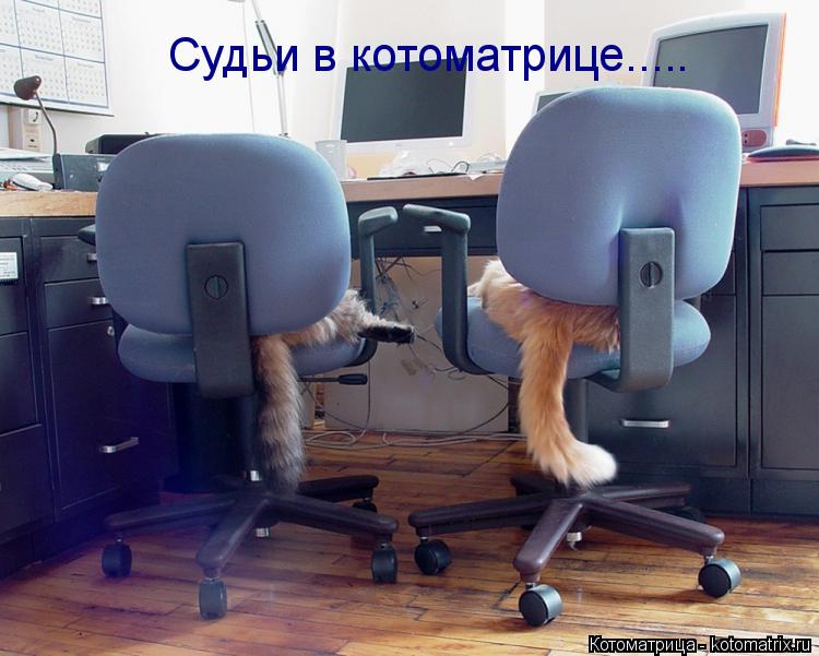 Судьи в котоматрице........ Котоматрица: Судьи в котоматрице.....