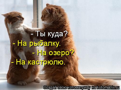 - Ты куда? - На рыбалку. - На озеро? - На кастрюлю.... Котоматрица: - Ты куда? - На рыбалку. - На озеро? - На кастрюлю.