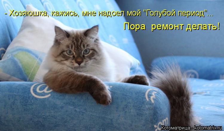 Пора ремонт делать! - Хозяюшка, кажись, мне надоел мой "Голубой период"...... Котоматрица: Пора ремонт делать! - Хозяюшка, кажись, мне надоел мой "Голубой период"...