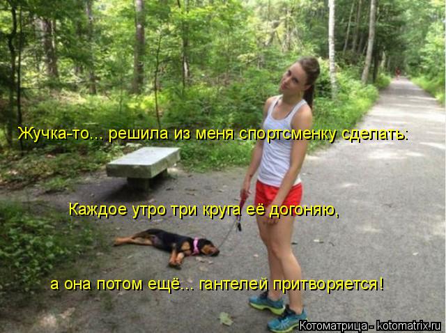 Котоматрица: Жучка-то... решила из меня спортсменку сделать: Каждое утро три круга её догоняю, а она потом ещё... гантелей притворяется!