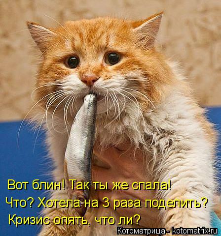 Вот блин! Так ты же спала! Что? Хотела на 3 раза поделить? Кризис опять, что ли?... Котоматрица: Вот блин! Так ты же спала! Что? Хотела на 3 раза поделить? Кризис опять, что ли?