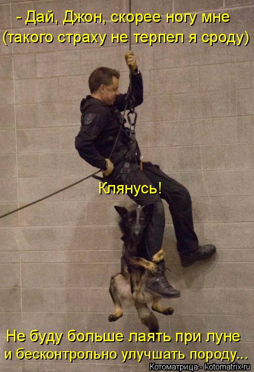 - Дай, Джон, скорее ногу мне (такого страху не терпел я сроду) Клянусь! Не буду больше лаять при луне... Котоматрица: - Дай, Джон, скорее ногу мне (такого страху не терпел я сроду) Клянусь! Не буду больше лаять при луне и бесконтрольно улучшать породу...