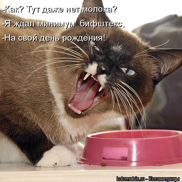-Как? Тут даже нет молока? -Я ждал минимум бифштекс, -На свой день рождения!... Котоматрица: -Как? Тут даже нет молока? -Я ждал минимум бифштекс, -На свой день рождения!