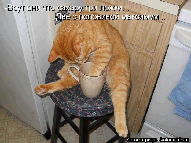 -Врут они,что сахару три ложки... Две с половиной максимум...... Котоматрица: -Врут они,что сахару три ложки... Две с половиной максимум...