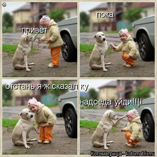 привет пока отстань я ж сказал ку надоеда уйди!!!!... Котоматрица: привет пока отстань я ж сказал ку надоеда уйди!!!!