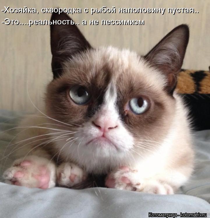 Котоматрица: -Хозяйка, сквородка с рыбой наполовину пустая.. -Это....реальность.. а не пессимизм
