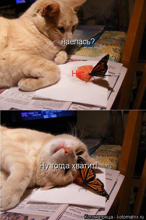 наелась? Нет Ну тогда хватит!... Котоматрица: наелась? Нет Ну тогда хватит!