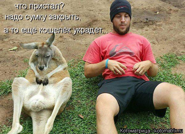 что пристал? надо сумку закрыть, а то ещё кошелёк украдёт...... Котоматрица: что пристал? надо сумку закрыть, а то ещё кошелёк украдёт...