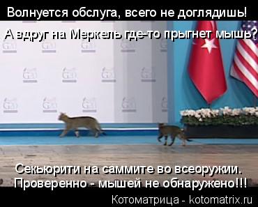 Проверенно - мышей не обнаружено!!! Секьюрити на саммите во всеоружии. Волнуется обслуга, всего не до... Котоматрица: Проверенно - мышей не обнаружено!!! Секьюрити на саммите во всеоружии. Волнуется обслуга, всего не доглядишь! А вдруг на Меркель где-то прыгн