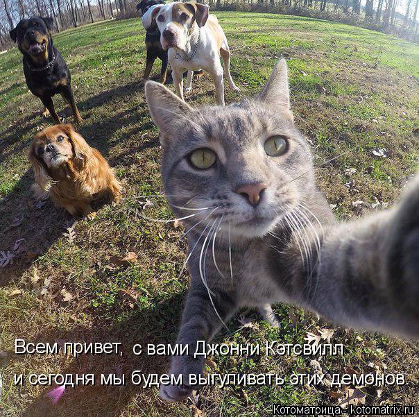 и сегодня мы будем выгуливать этих демонов. Всем привет, с вами Джонни Кэтсвилл... Котоматрица: и сегодня мы будем выгуливать этих демонов. Всем привет, с вами Джонни Кэтсвилл