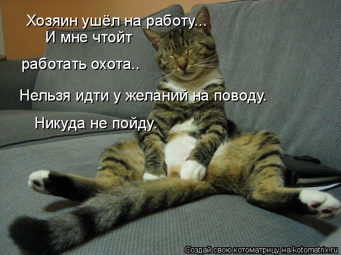 Хозяин ушёл на работу... И мне чтойт работать охота.. Нельзя идти у желаний на поводу. Никуда не пойд... Котоматрица: Хозяин ушёл на работу... И мне чтойт работать охота.. Нельзя идти у желаний на поводу. Никуда не пойду.
