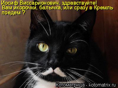 Иосиф Виссарионович, здравствуйте! Вам икорочки, балычка, или сразу в Кремль поедем ?... Котоматрица: Иосиф Виссарионович, здравствуйте! Вам икорочки, балычка, или сразу в Кремль поедем ?