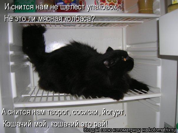И снится нам не шелест упаковок, Не это ли мясная колбаса? А снится нам творог, сосиски, йогурт, Коша... Котоматрица: И снится нам не шелест упаковок, Не это ли мясная колбаса? А снится нам творог, сосиски, йогурт, Кошачий мой, кошачий это рай!