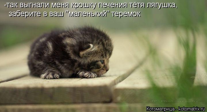 -так выгнали меня крошку печения тётя лягушка, заберите в ваш "маленький" теремок... Котоматрица: -так выгнали меня крошку печения тётя лягушка, заберите в ваш "маленький" теремок