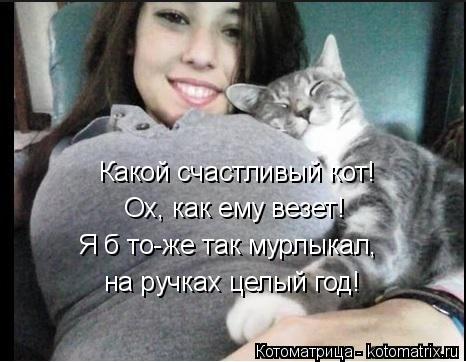 Какой счастливый кот! Ох, как ему везет! Я б то-же так мурлыкал, на ручках целый год!... Котоматрица: Какой счастливый кот! Ох, как ему везет! Я б то-же так мурлыкал, на ручках целый год!