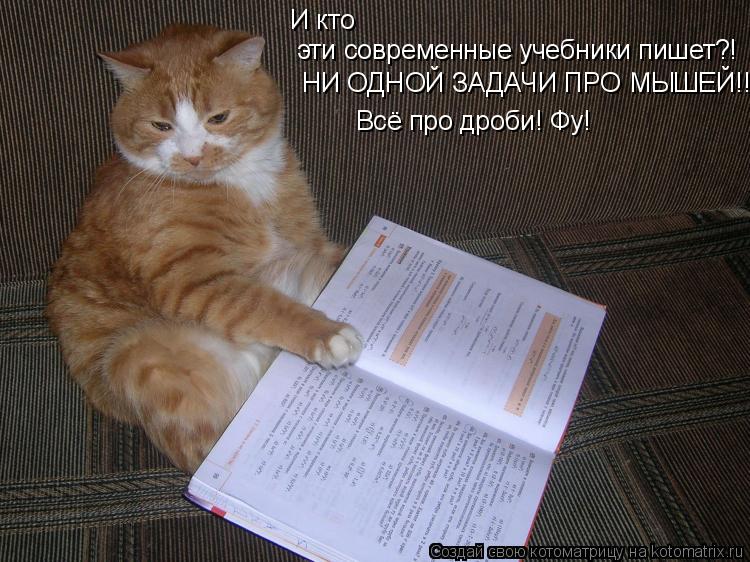 Котоматрица: И кто эти современные учебники пишет?! НИ ОДНОЙ ЗАДАЧИ ПРО МЫШЕЙ!!! Всё про дроби! Фу!