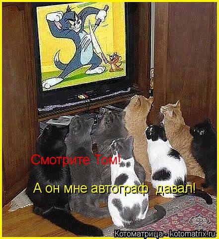 Смотрите Том! А он авторов давал! А он мне автограф давал!... Котоматрица: Смотрите Том! А он авторов давал! А он мне автограф давал!