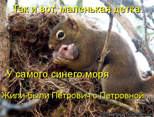 Так и вот, маленькая детка. У самого синего моря Жили-были Петрович с Петровной...... Котоматрица: Так и вот, маленькая детка. У самого синего моря Жили-были Петрович с Петровной...