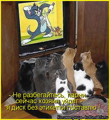 - Не разбегайтесь, парни, сейчас хозяин уйдет - я диск без этикетки поставлю !... Котоматрица: - Не разбегайтесь, парни, сейчас хозяин уйдет - я диск без этикетки поставлю !