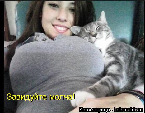 Завидуйте молча!... Котоматрица: Завидуйте молча!