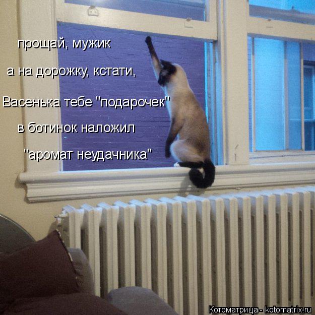 а на дорожку, кстати, прощай, мужик Васенька тебе "подарочек" в ботинок наложил "аромат неудачника"... Котоматрица: а на дорожку, кстати, прощай, мужик Васенька тебе "подарочек" в ботинок наложил "аромат неудачника"
