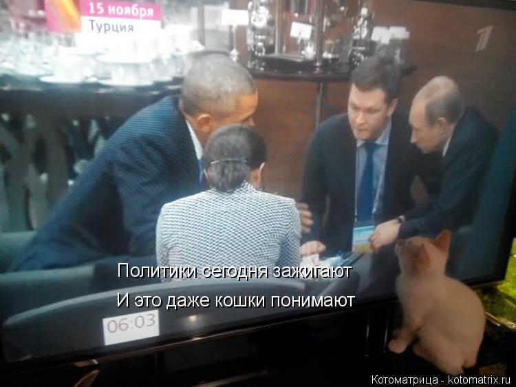 Политики сегодня зажигают И это даже кошки понимают... Котоматрица: Политики сегодня зажигают И это даже кошки понимают