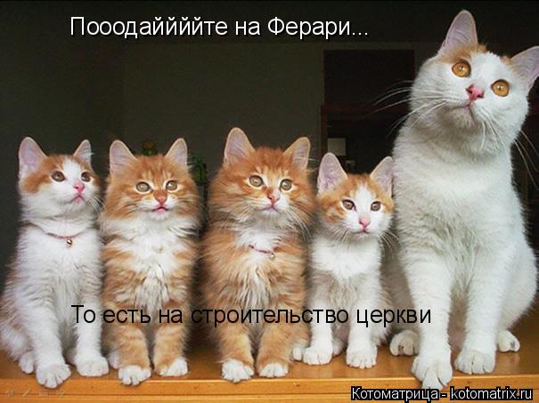 Котоматрица: Пооодаййййте на Ферари... Пооодаййййте на Ферари... То есть на строительство церкви То есть на строительство церкви